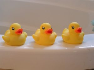 rubber duckies, yellow, ducky-14614.jpg