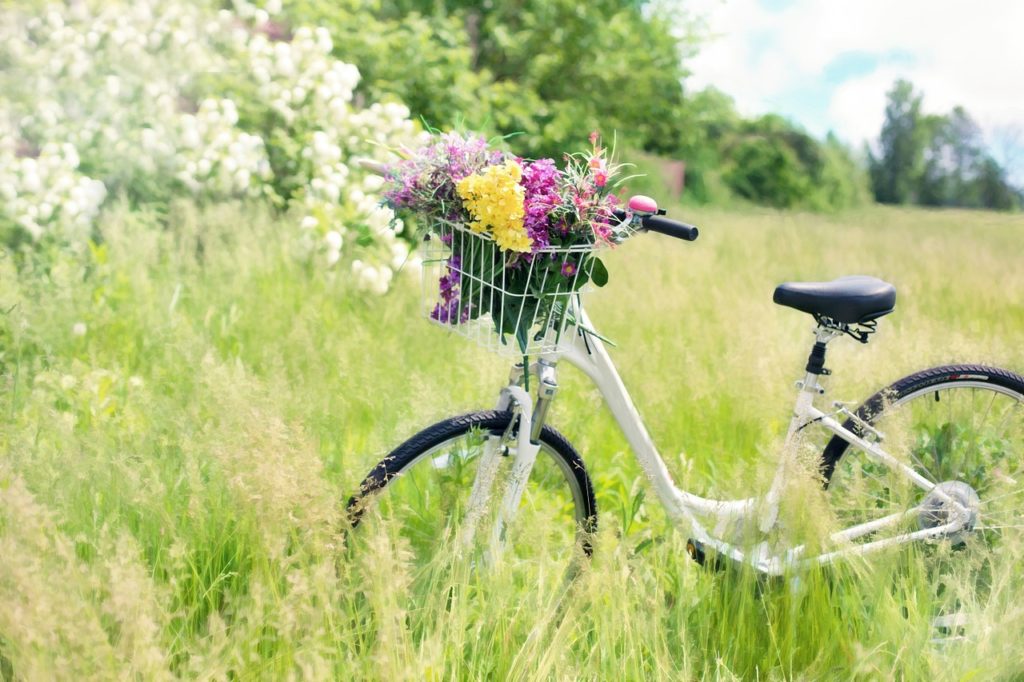 bicycle, meadow, flowers-788733.jpg